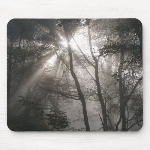 Sunlight Through Trees Dark Woodland Mouse Pad