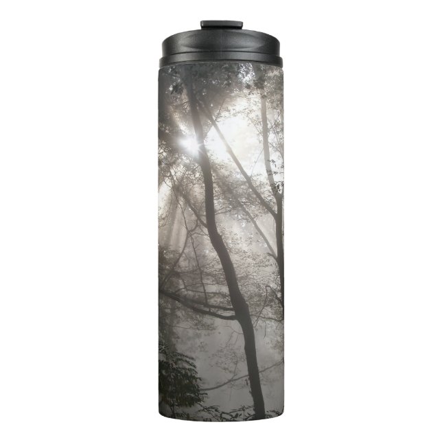 Sunlight Through Trees Dark Woodland Thermal Tumbler (Front)
