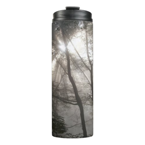 Sunlight Through Trees Dark Woodland Thermal Tumbler