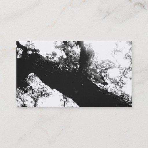 Customizable Sunlight Tree Black and White Photography Business Card Template