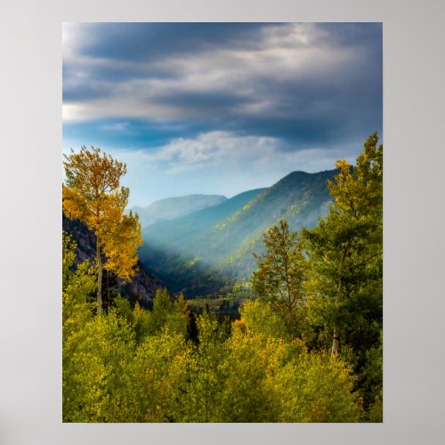 Sunlight Valley  Autumn Color Forest Poster