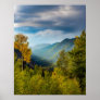 Sunlight Valley // Autumn Color Forest Poster