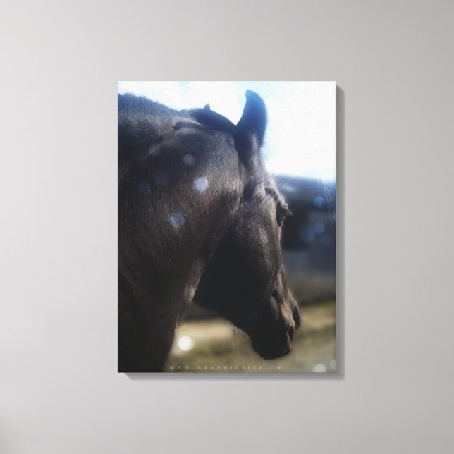 Sunlight - Wrapped Canvas Print (Front)
