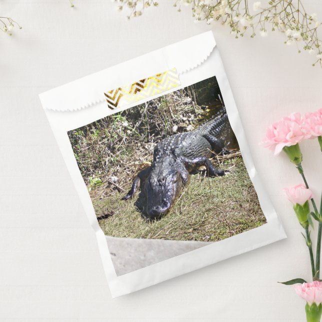 Sunlit Alligator on Everglades Grass Favor Bag (Sealed)