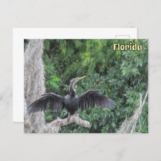 Sunlit Anhinga on a Mossy Branch – Oil‑Painting St