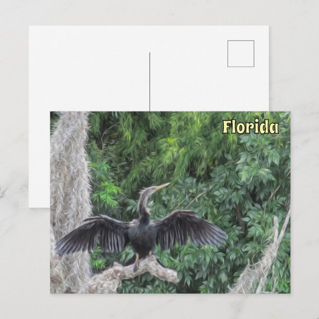 Sunlit Anhinga on a Mossy Branch – Oil‑Painting St Postcard (Front/Back)