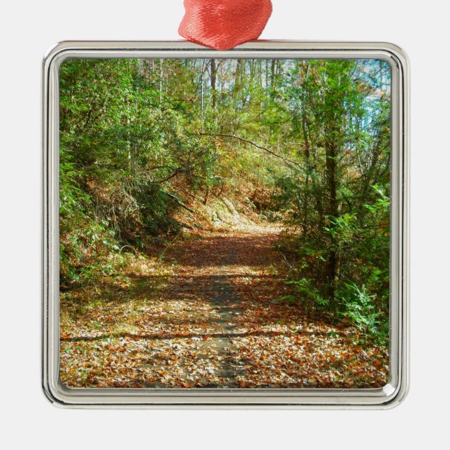 Sunlit Autumn Forest Trail Metal Ornament (Front)