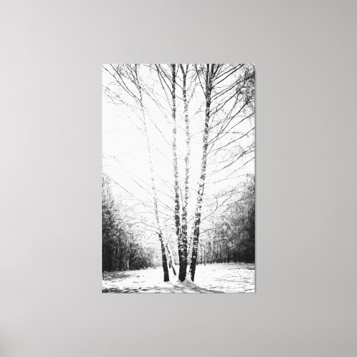 Sunlit Birch Trees In The Winter Forest Canvas Print
