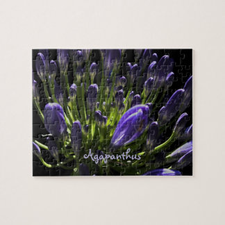 Sunlit Blooming Purple Agapanthus, African Lily Jigsaw Puzzle