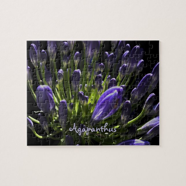 Sunlit Blooming Purple Agapanthus, African Lily Jigsaw Puzzle (Horizontal)