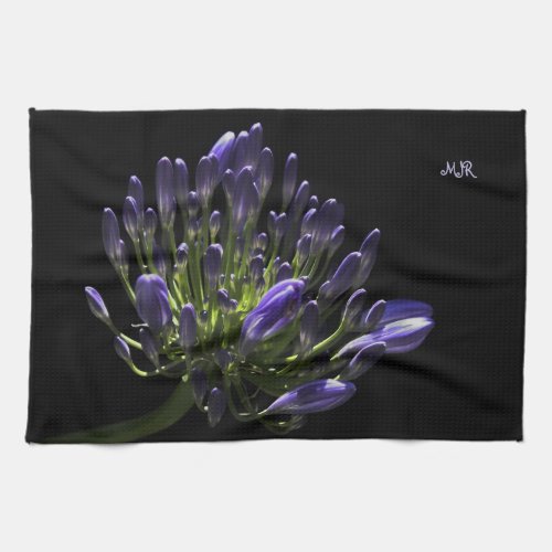 Sunlit Blooming Purple Agapanthus African Lily Kitchen Towel