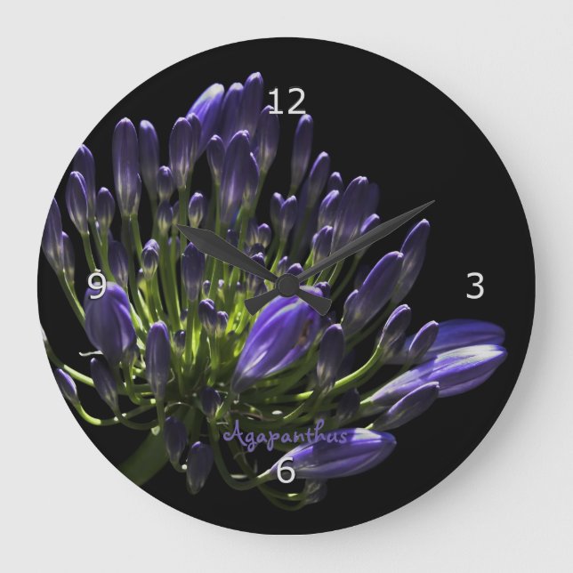 Sunlit Blooming Purple Agapanthus, African Lily Large Clock (Front)