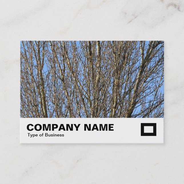 Sunlit Branches Business Card (Front)