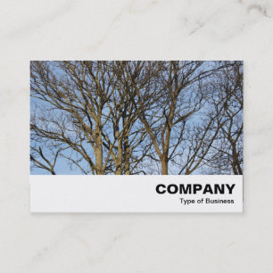 Sunlit Branches Business Card