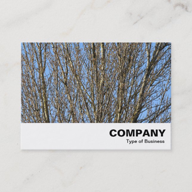 Sunlit Branches Business Card (Front)