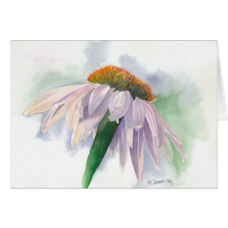 Sunlit Cards