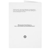 Sunlit Courtyard (Back)