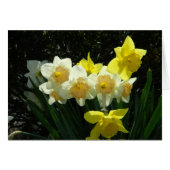 Sunlit Daffodil Card (Front Horizontal)
