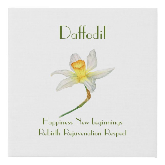 Sunlit Daffodil with flower meaning  Faux Canvas Print (Front)