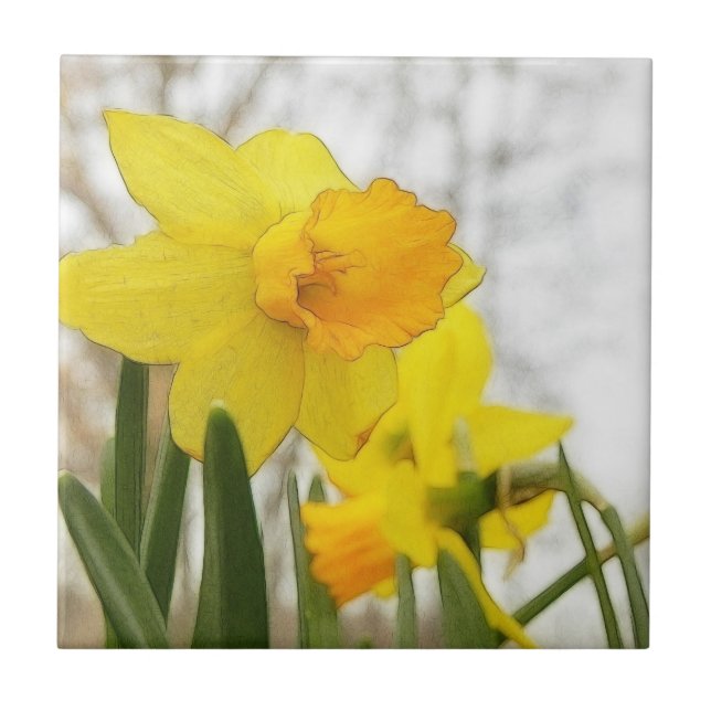 Sunlit Daffodils Tile (Front)