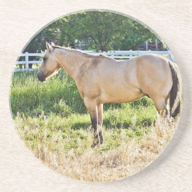Sunlit Dappled Morning Sandstone Coaster (Front)