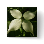 Sunlit Dogwood Blossom Spring Floral Button