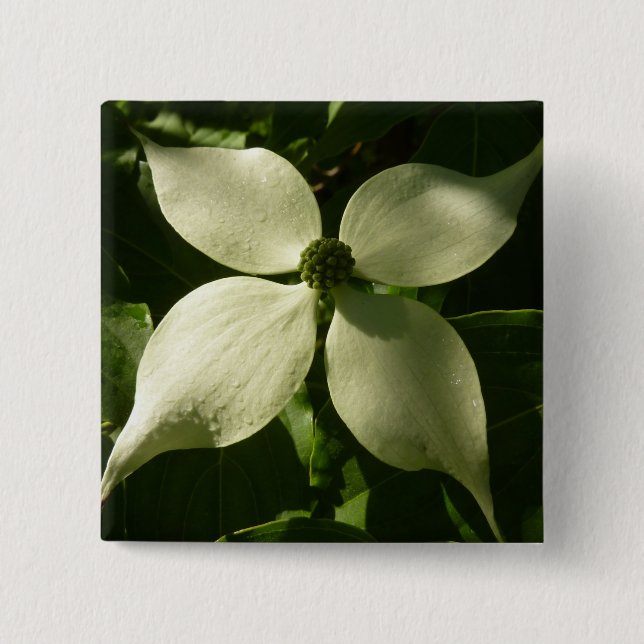 Sunlit Dogwood Blossom Spring Floral Button (Front)