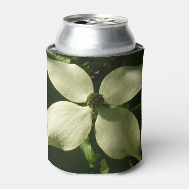 Sunlit Dogwood Blossom Spring Floral Can Cooler (Can Front)