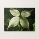 Sunlit Dogwood Blossom Spring Floral Jigsaw Puzzle