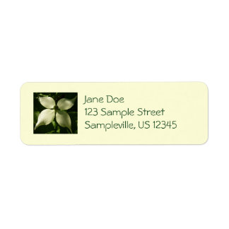 Sunlit Dogwood Blossom Spring Floral Label