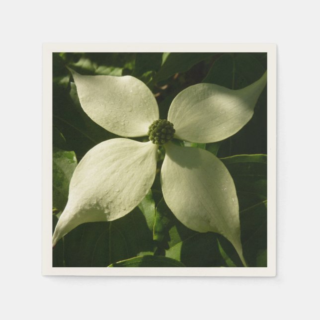 Sunlit Dogwood Blossom Spring Floral Napkins (Front)
