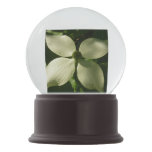 Sunlit Dogwood Blossom Spring Floral Snow Globe