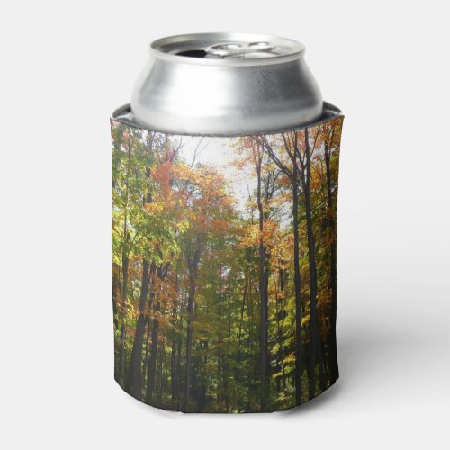 Sunlit Fall Forest Autumn Landscape Can Cooler