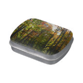 Sunlit Fall Forest Autumn Landscape Candy Tin (Side)
