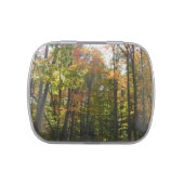 Sunlit Fall Forest Autumn Landscape Candy Tin (Top)