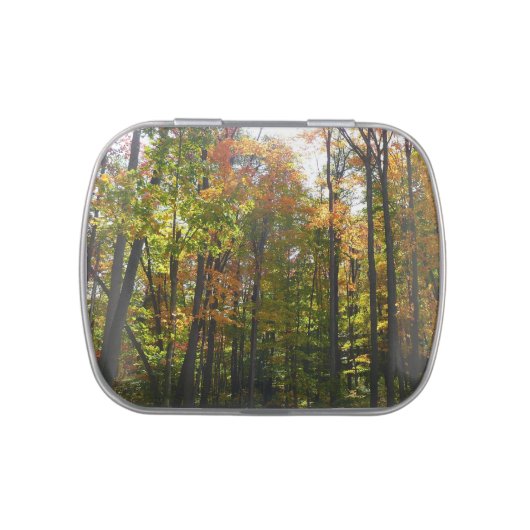 Sunlit Fall Forest Autumn Landscape Candy Tin (Top)