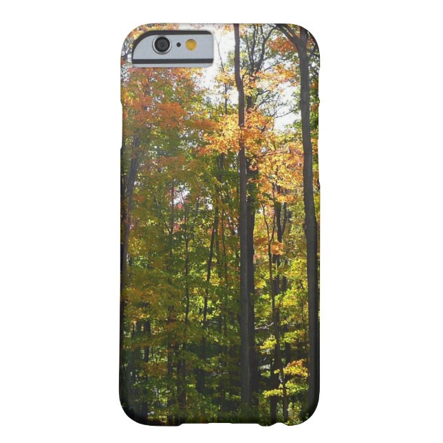 Sunlit Fall Forest Autumn Landscape Case-Mate iPhone Case (Back)