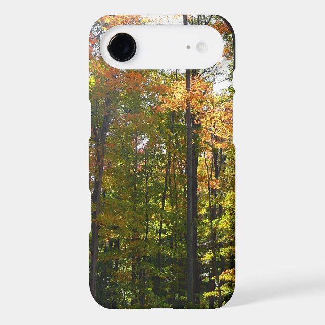 Sunlit Fall Forest Autumn Landscape Case-Mate iPhone Case (Back)