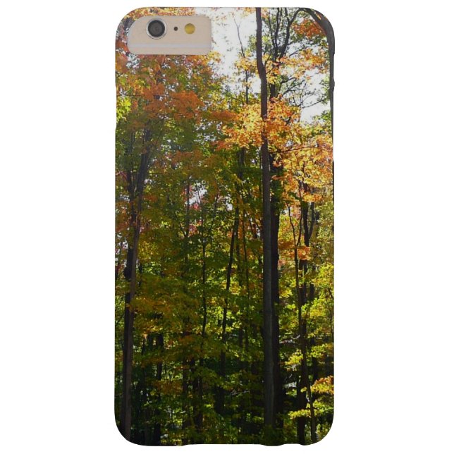 Sunlit Fall Forest Autumn Landscape Case-Mate iPhone Case (Back)
