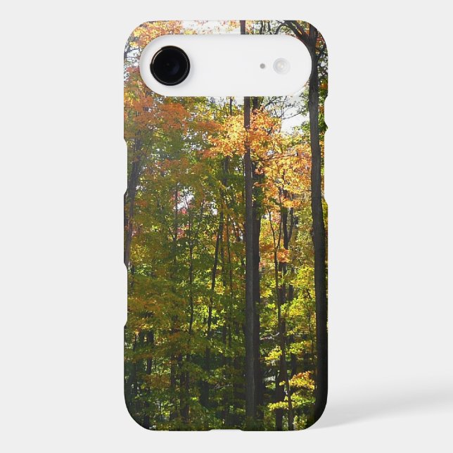 Sunlit Fall Forest Autumn Landscape Case-Mate iPhone Case (Back)