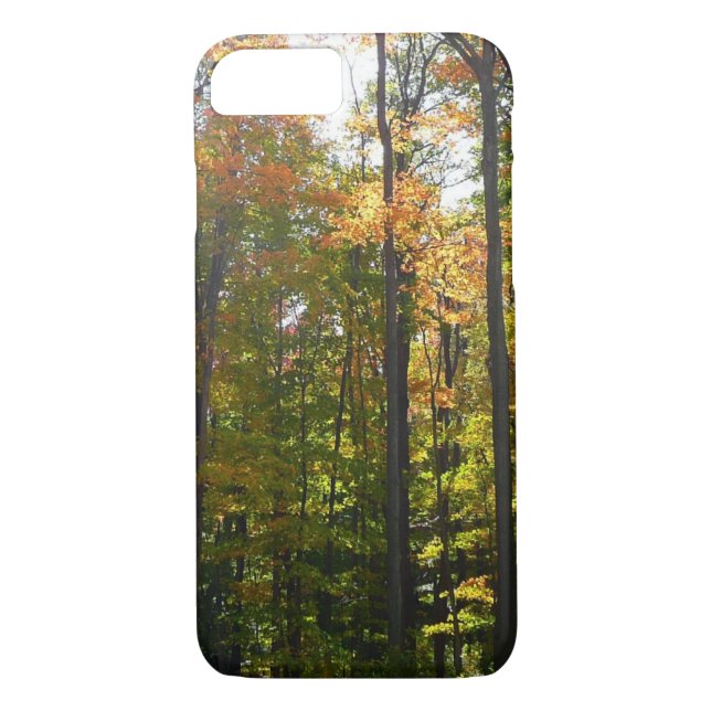Sunlit Fall Forest Autumn Landscape Case-Mate iPhone Case (Back)