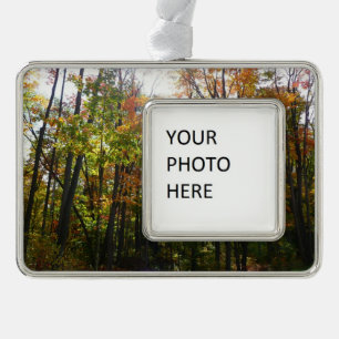 Sunlit Fall Forest Autumn Landscape Christmas Ornament