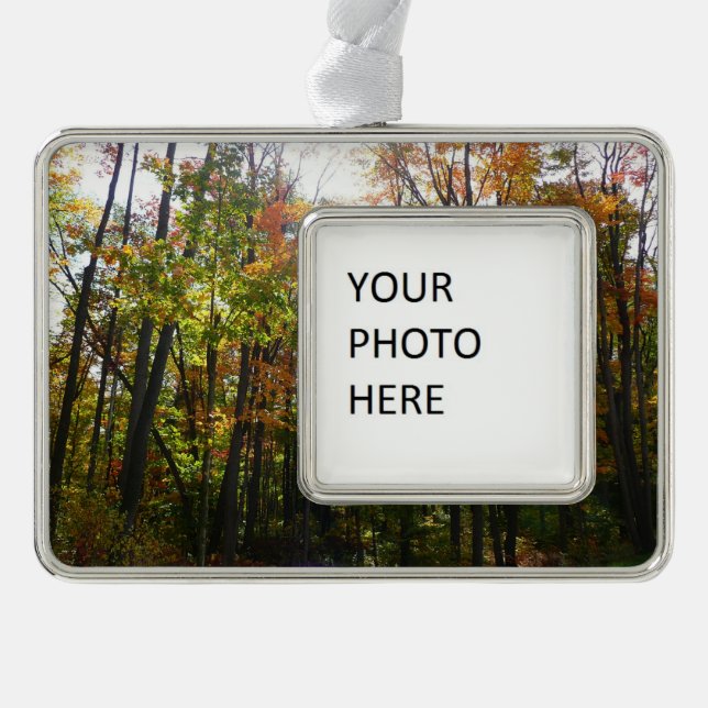Sunlit Fall Forest Autumn Landscape Christmas Ornament (Front)