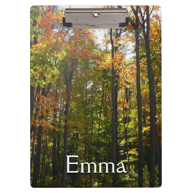 Sunlit Fall Forest Autumn Landscape Clipboard (Front)