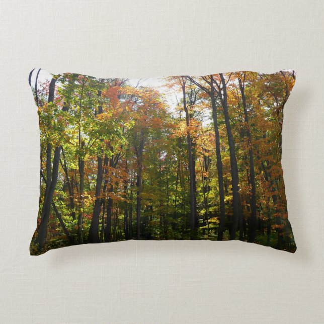 Sunlit Fall Forest Autumn Landscape Decorative Pillow (Front)