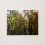 Sunlit Fall Forest Autumn Landscape Jigsaw Puzzle