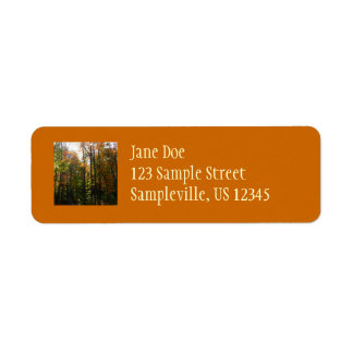 Sunlit Fall Forest Autumn Landscape Label