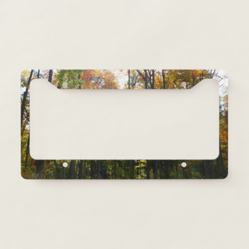 Sunlit Fall Forest Autumn Landscape License Plate Frame