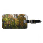 Sunlit Fall Forest Autumn Landscape Luggage Tag