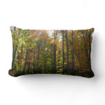 Sunlit Fall Forest Autumn Landscape Lumbar Pillow
